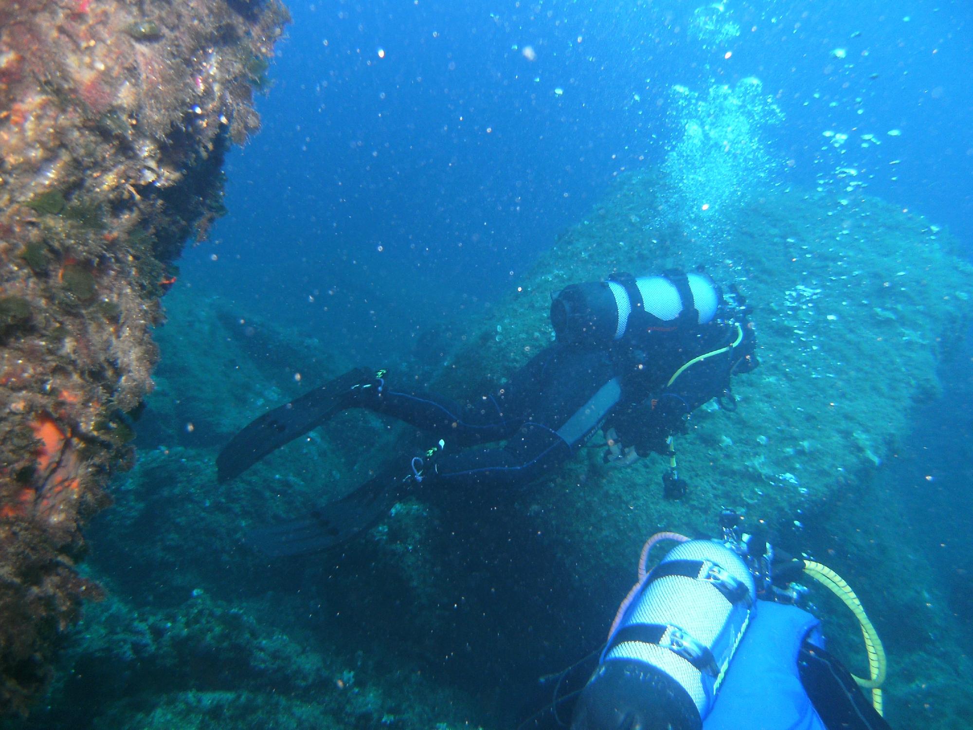 Blue Bubbles Diving