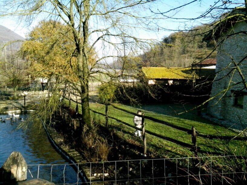 Fattoria Campogelato