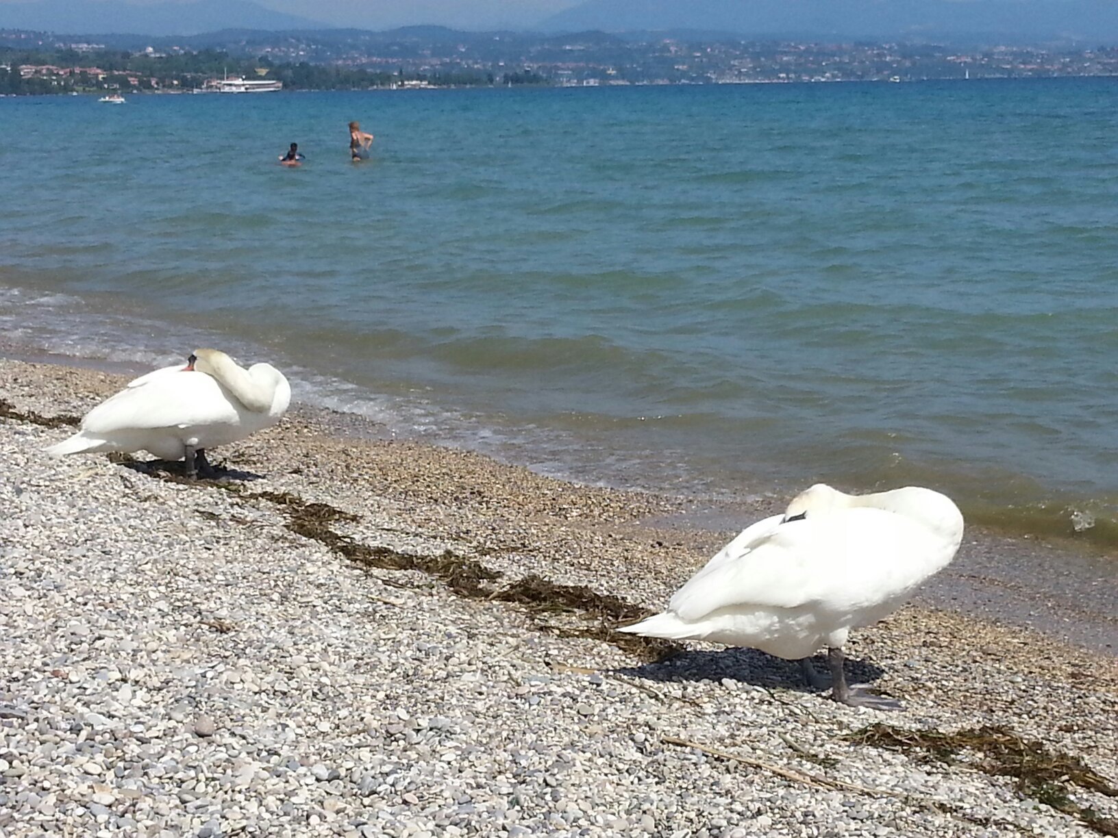 Spiaggia d'oro