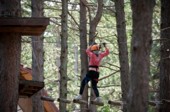 Parco Avventura Majella