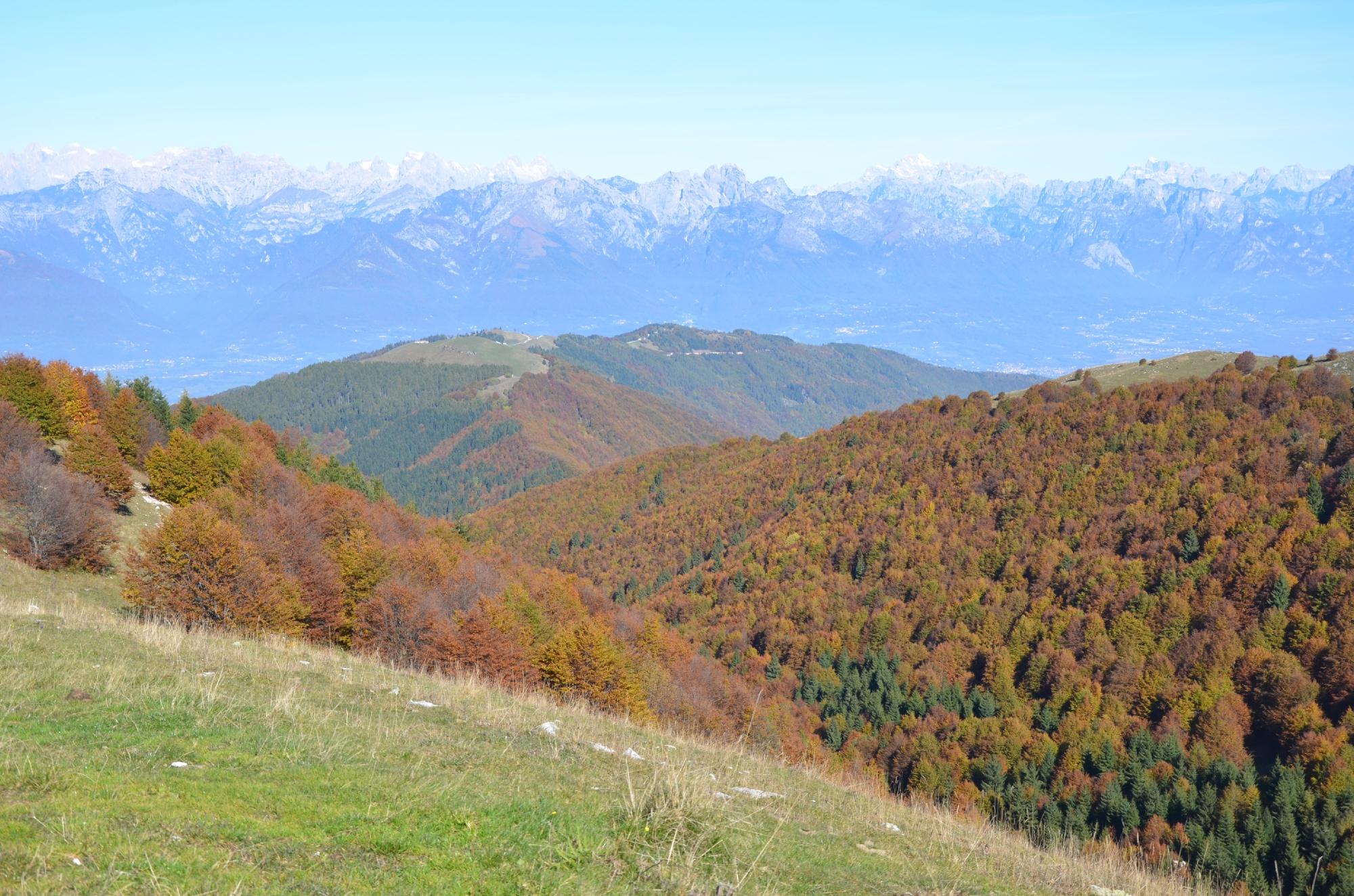 Monte Cesen