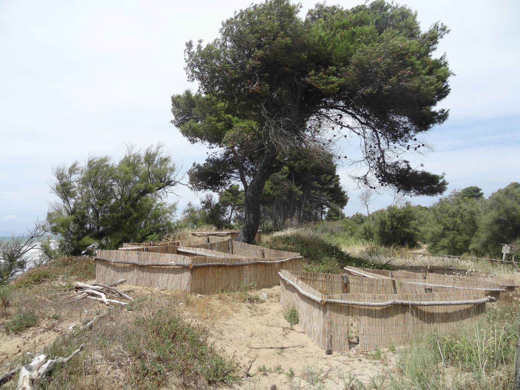 Parco Costiero della Sterpaia