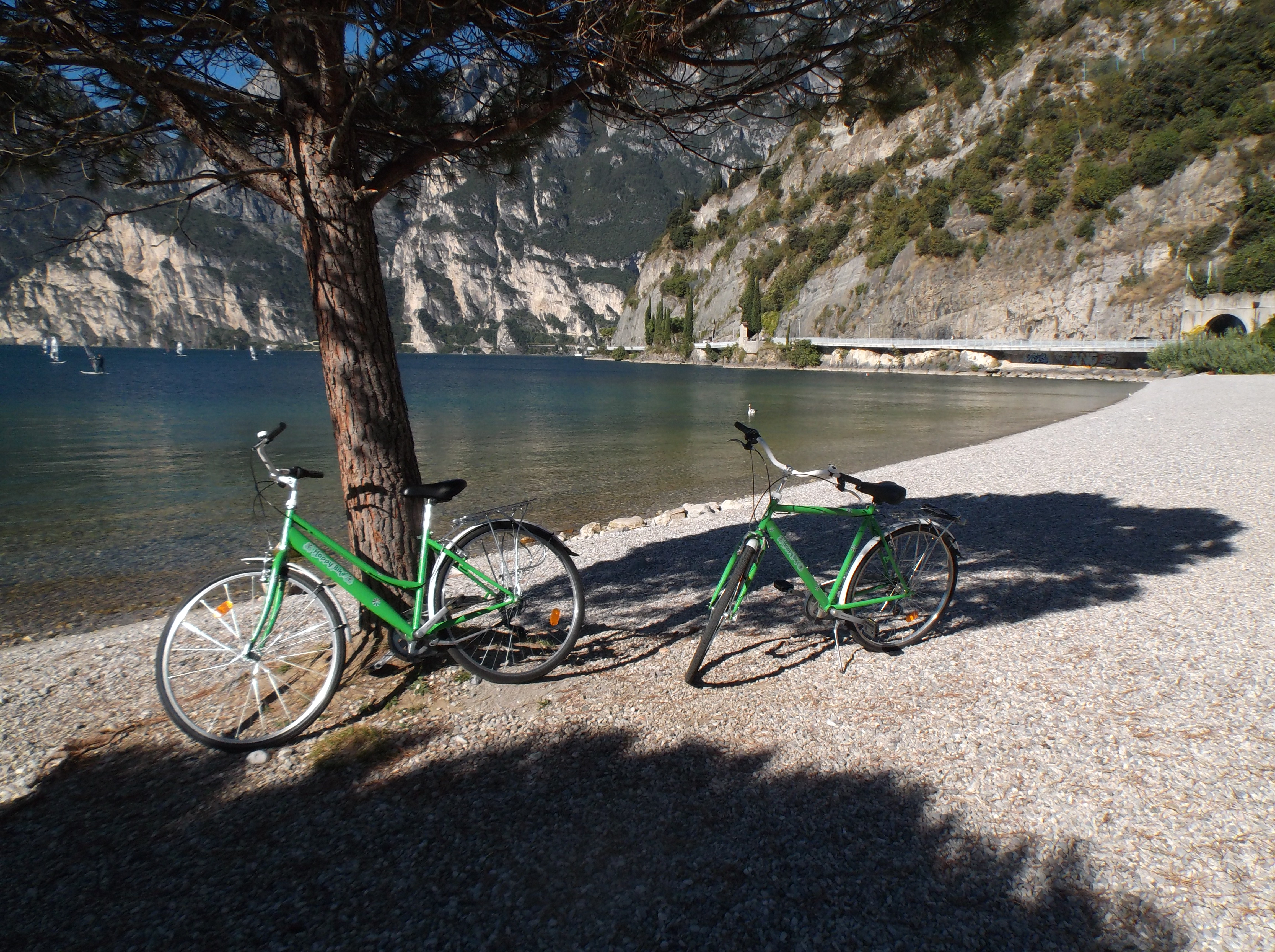 Happy Bike