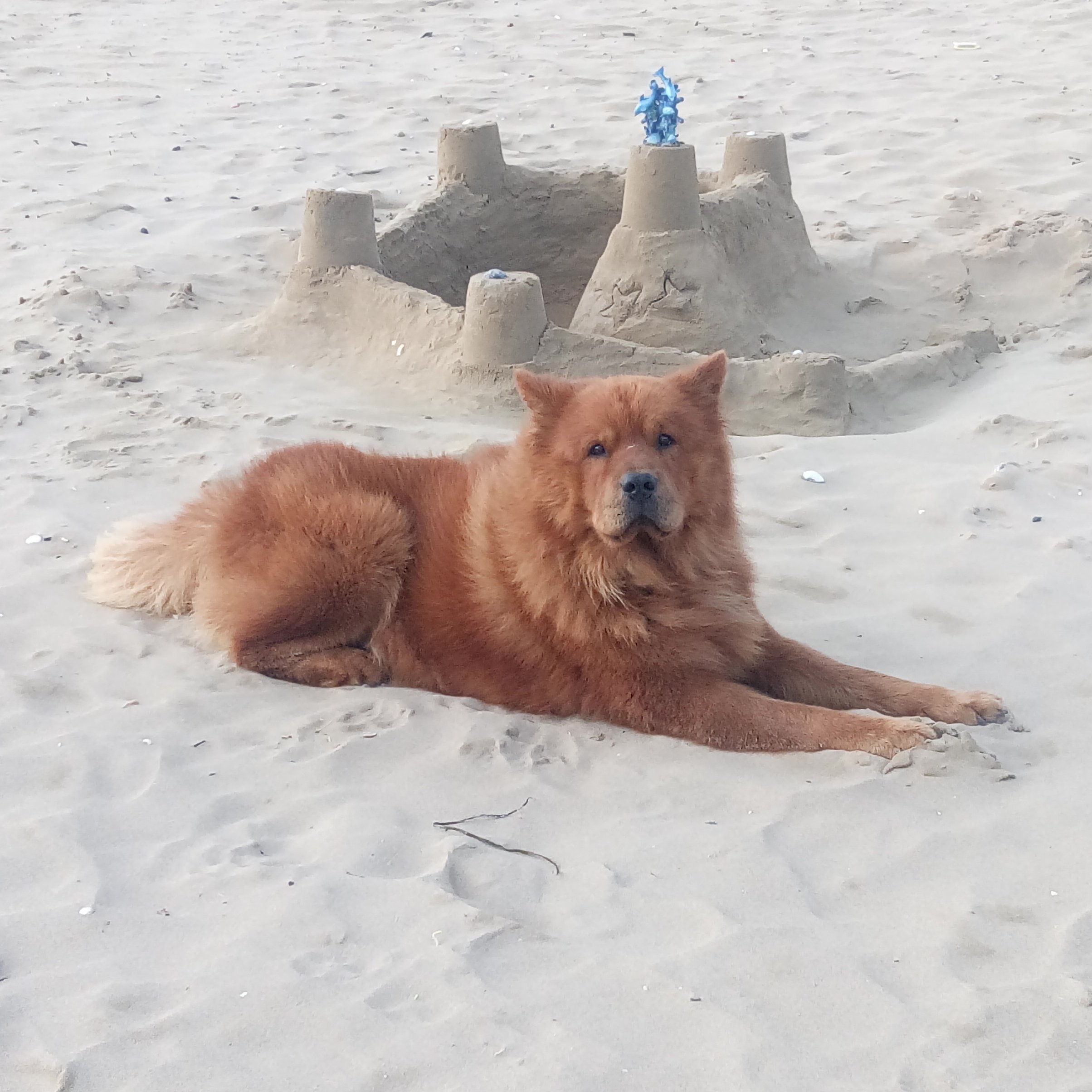 Spiaggia della Brussa