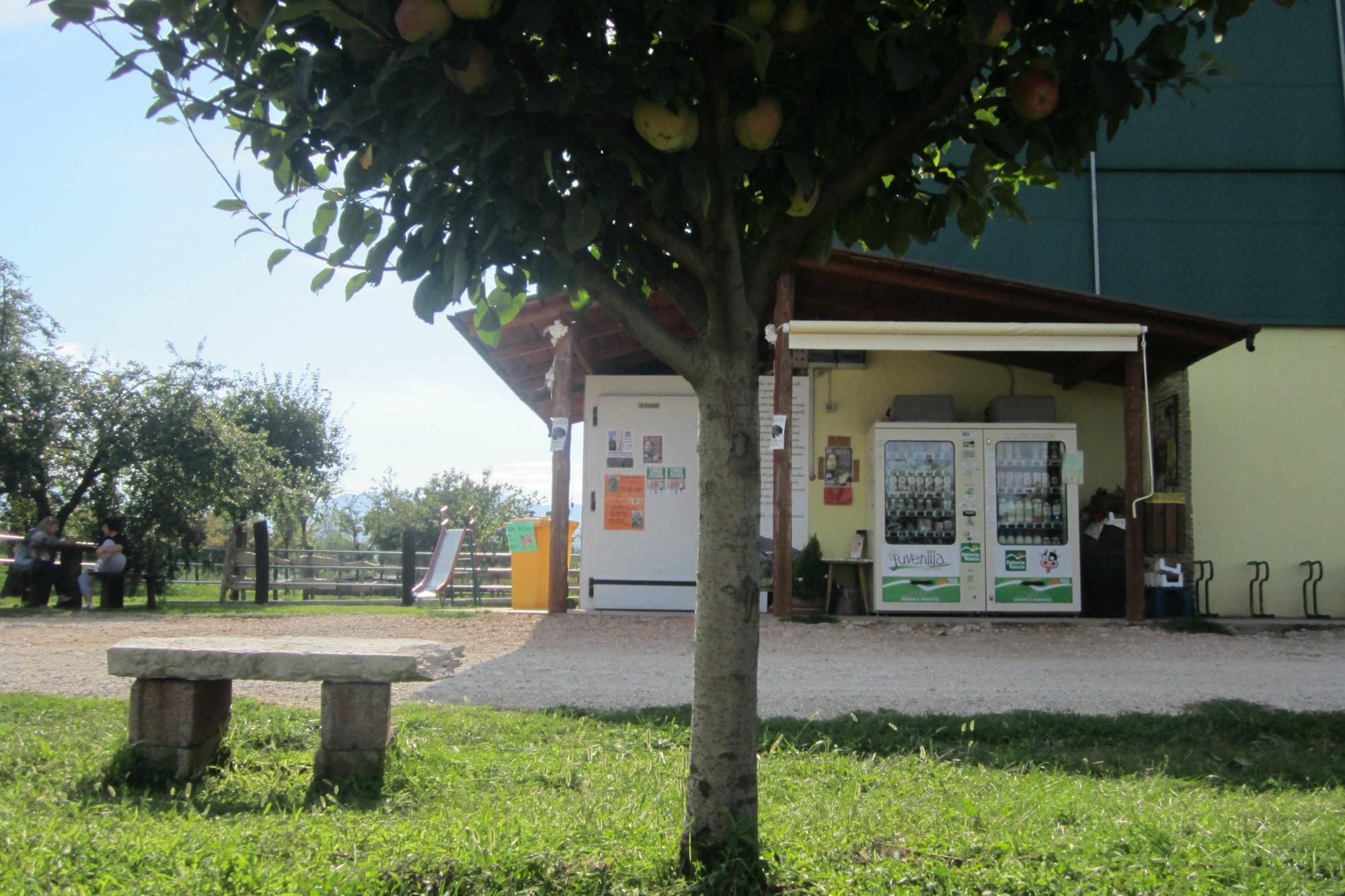 Azienda Agricola Juvenilia