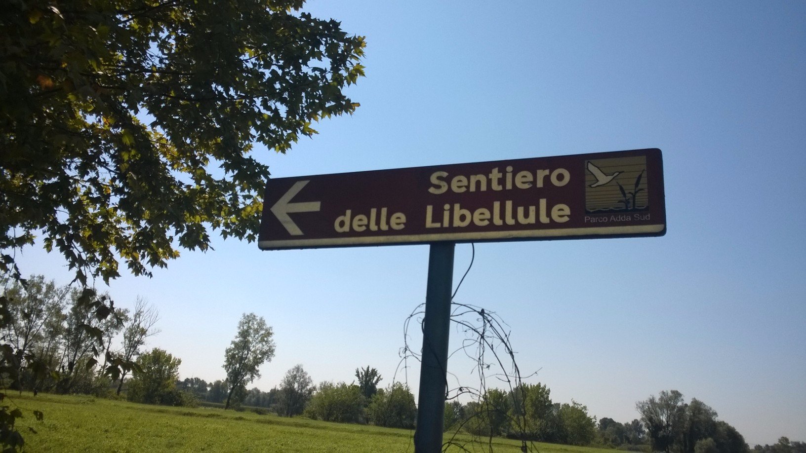 Parco Regionale dell'Adda Sud