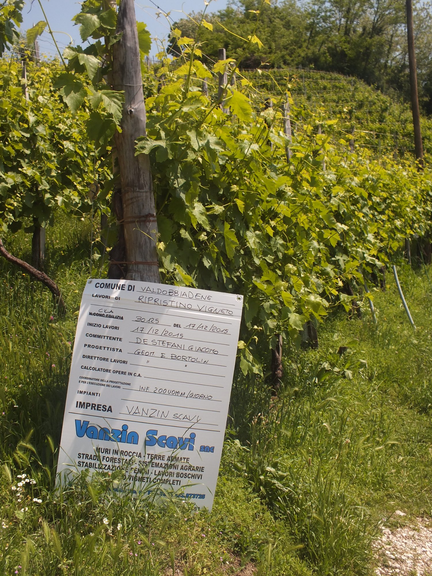 Anello del Prosecco Superiore