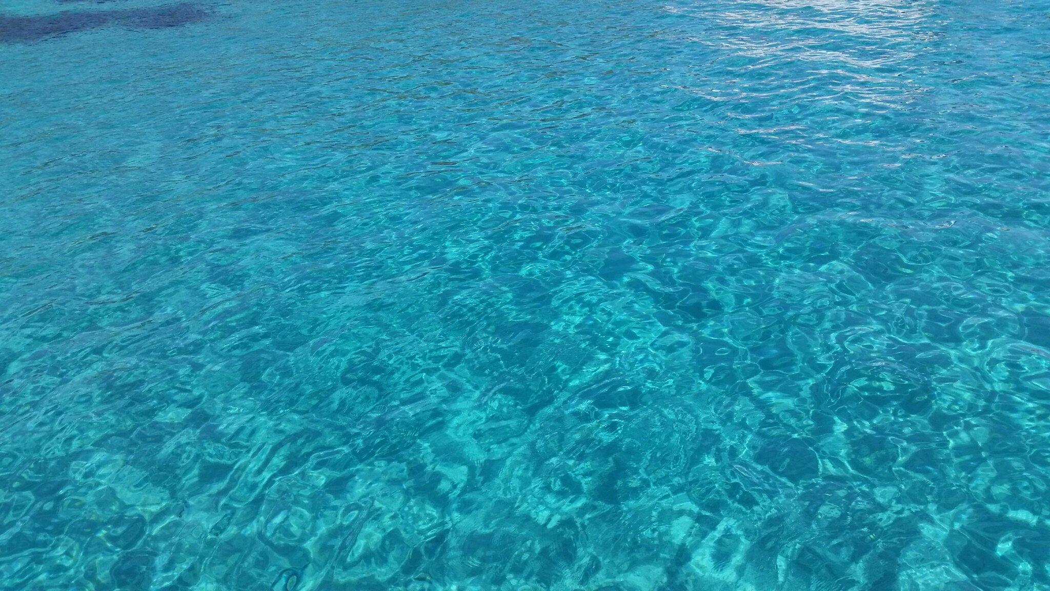 Asinara Garbo Charter