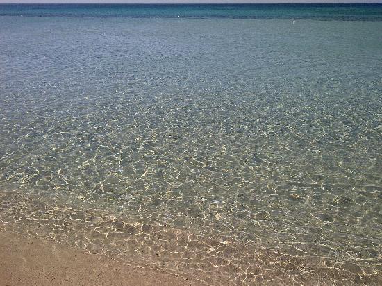 Baron Beach