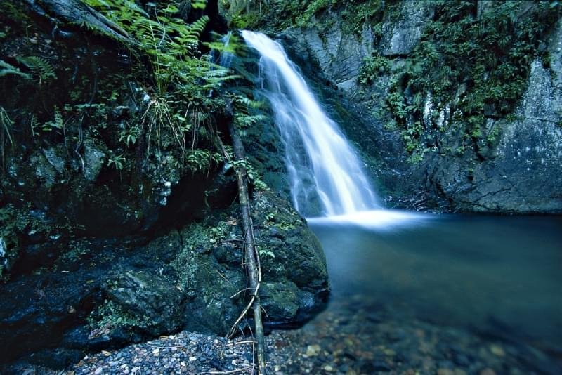 Sentiero Naturalistico Piave