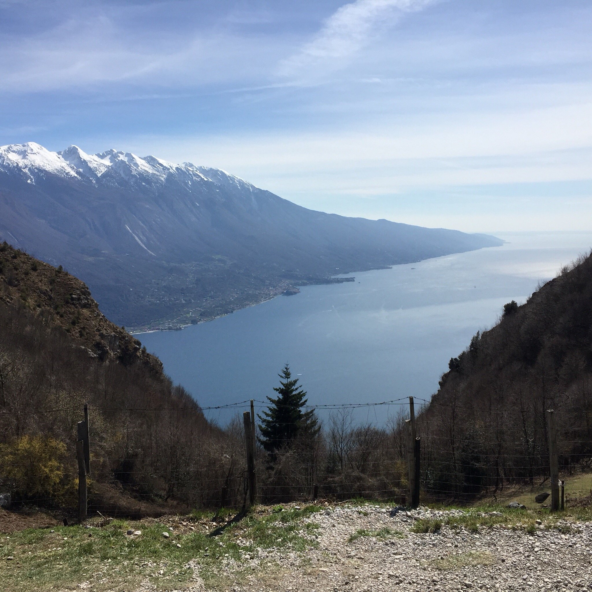 Punta Larici