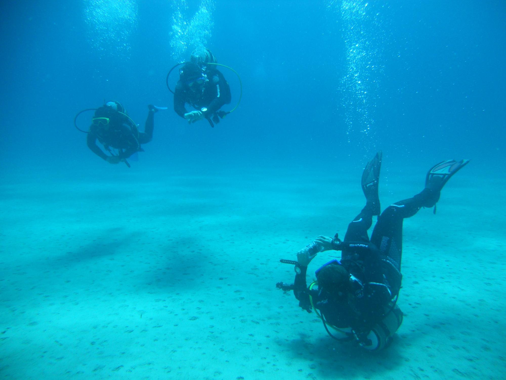 Argonauta Diving Club