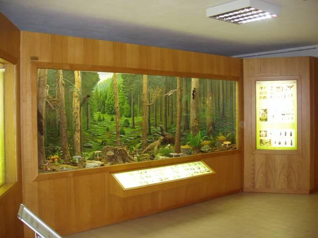 Museo Naturalistico Didattico