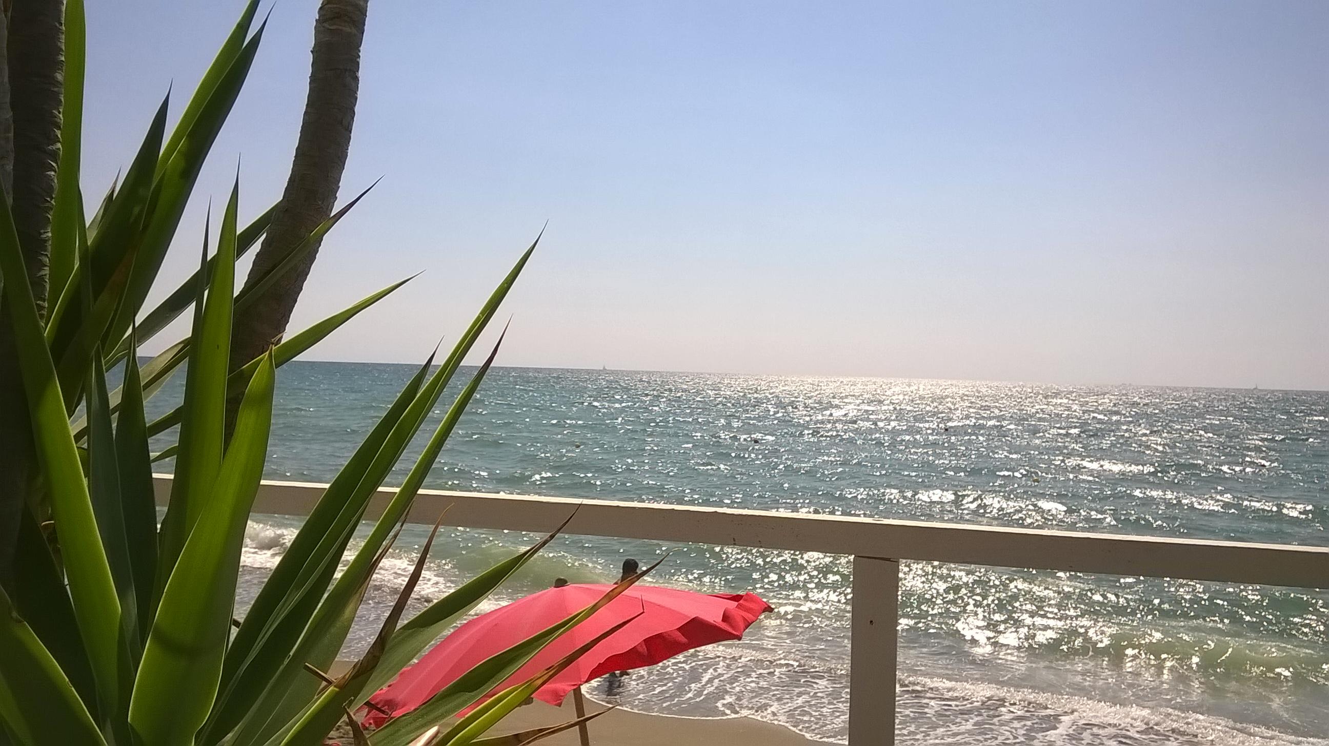 Lido Mimosa