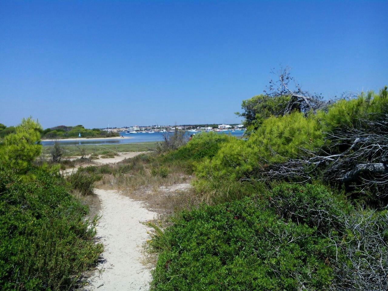 Isola dei Conigli