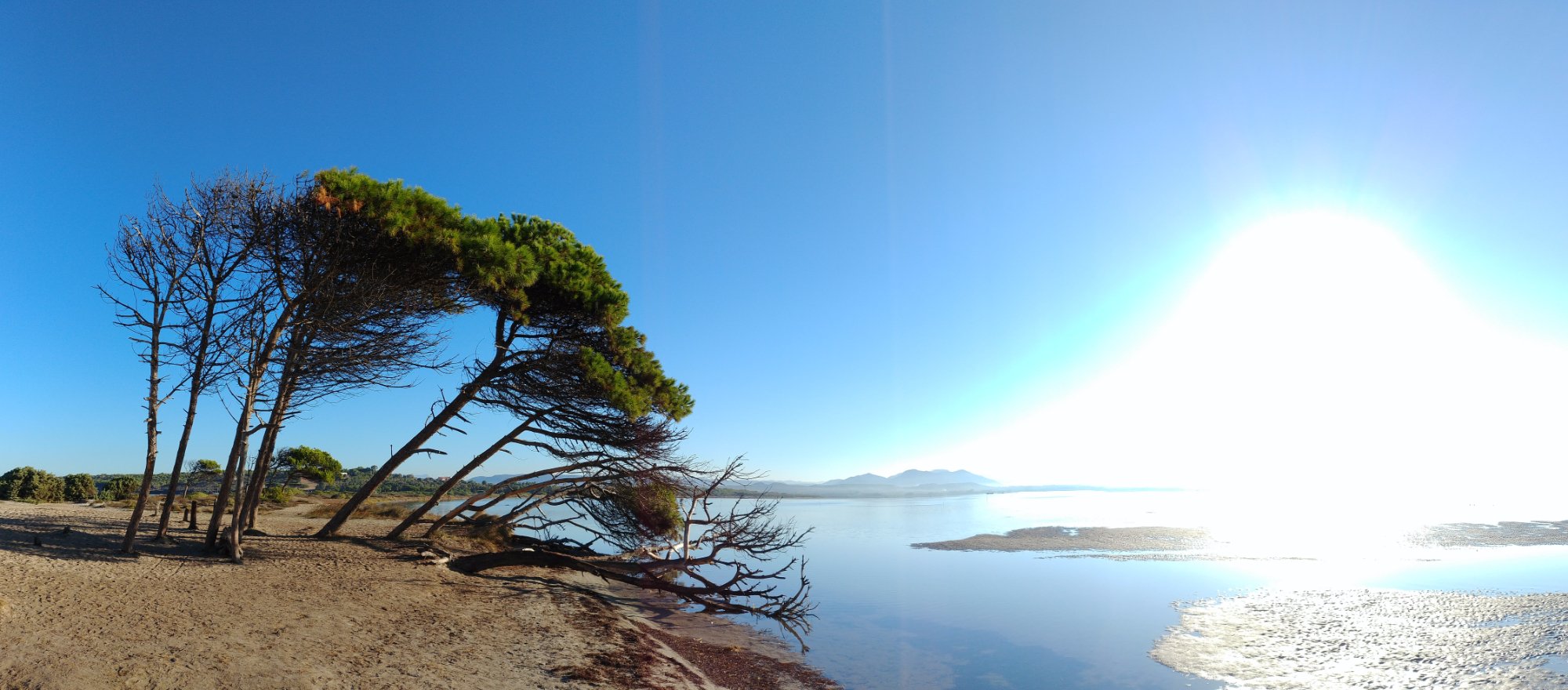 Punta Trettu