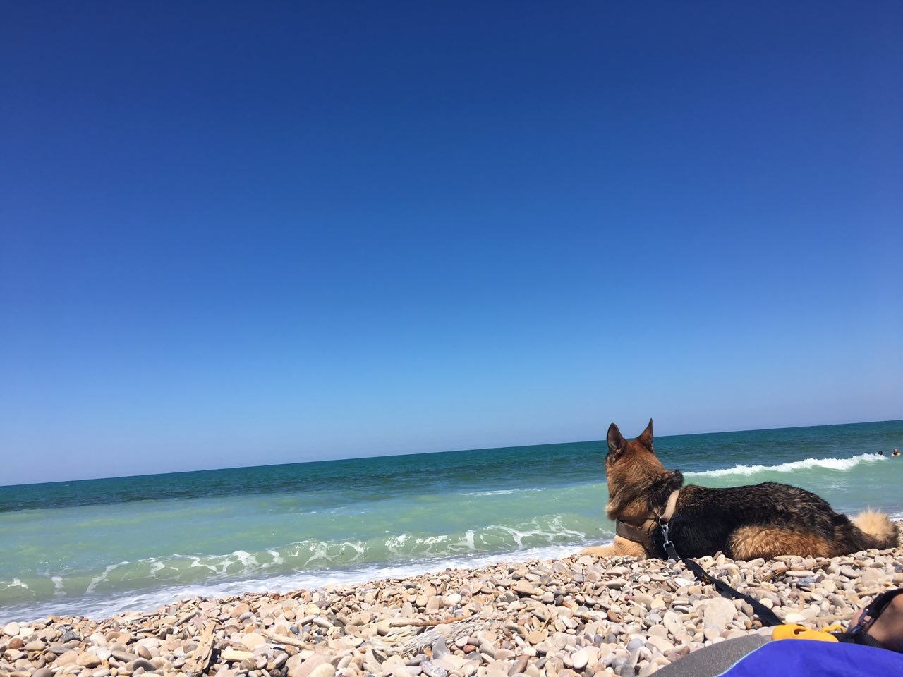 Spiaggia di Mottagrossa