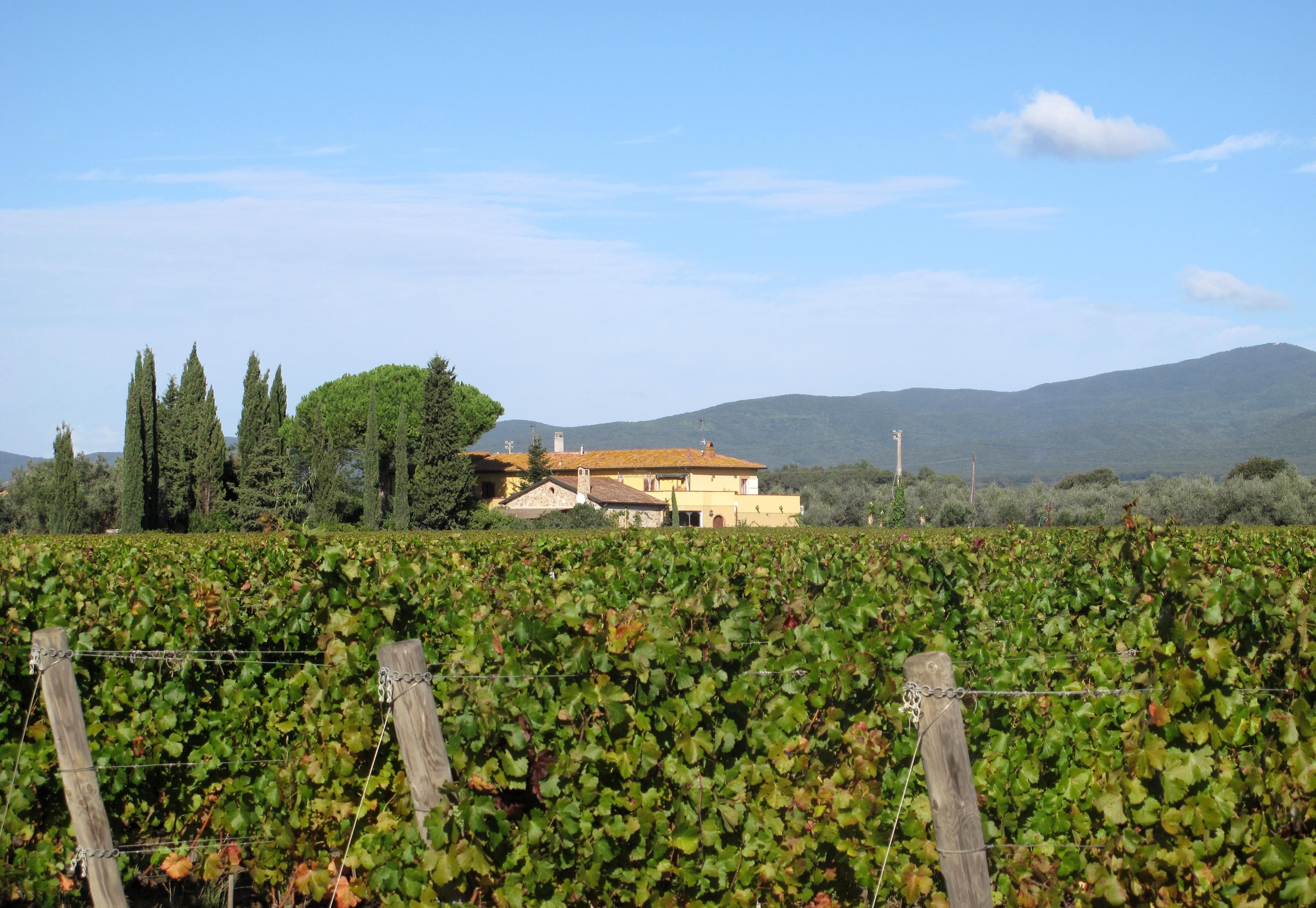 Azienda Agricola Batzella