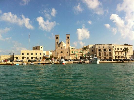 Duomo di Molfetta - Parrocchia San Corrado