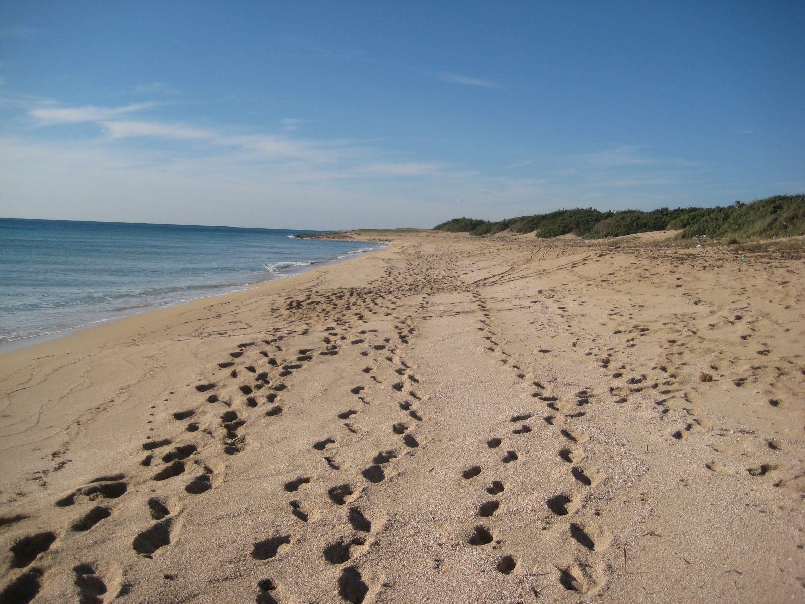 Spiaggia Salina dei Monaci