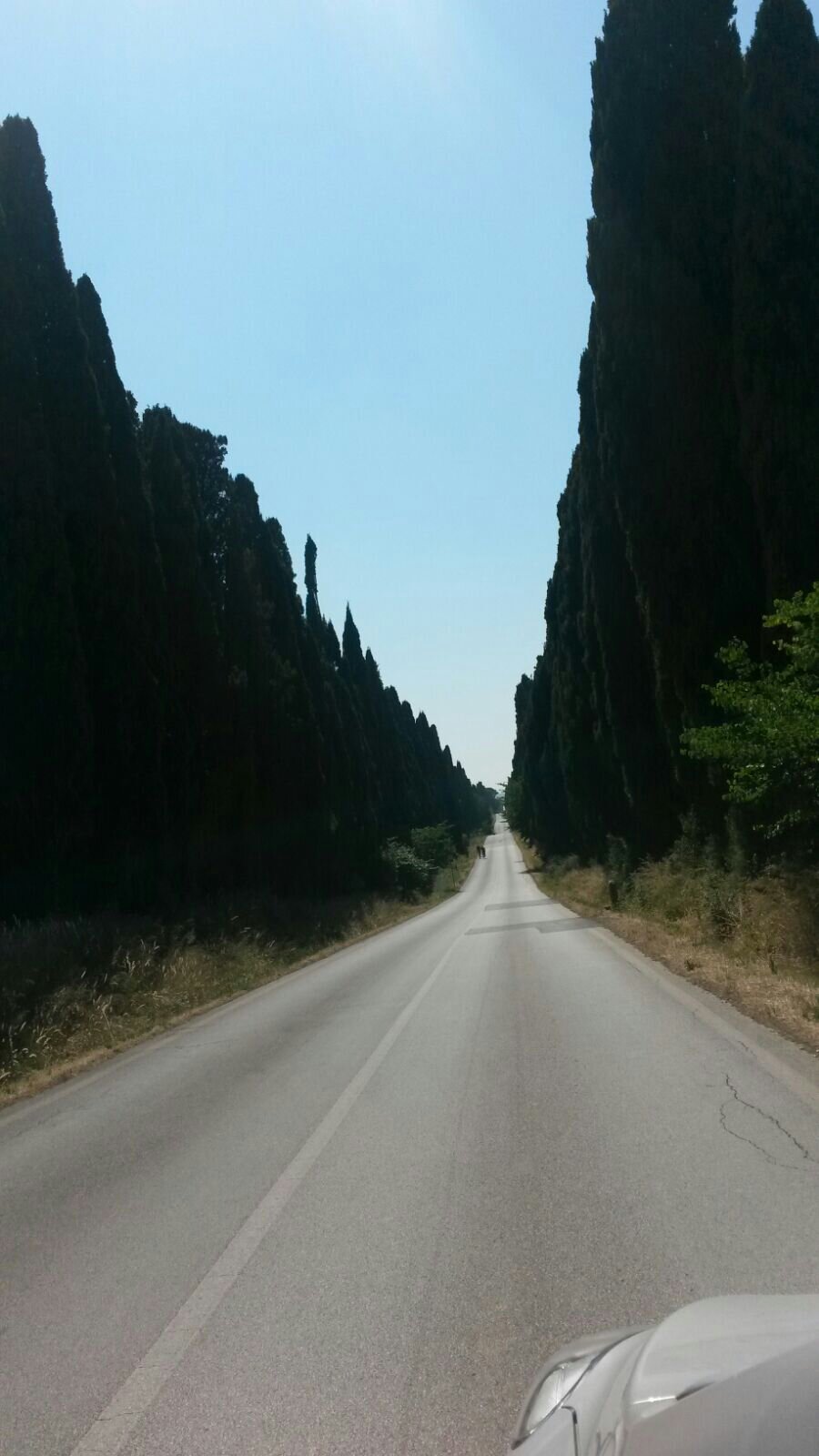 Viale dei Cipressi