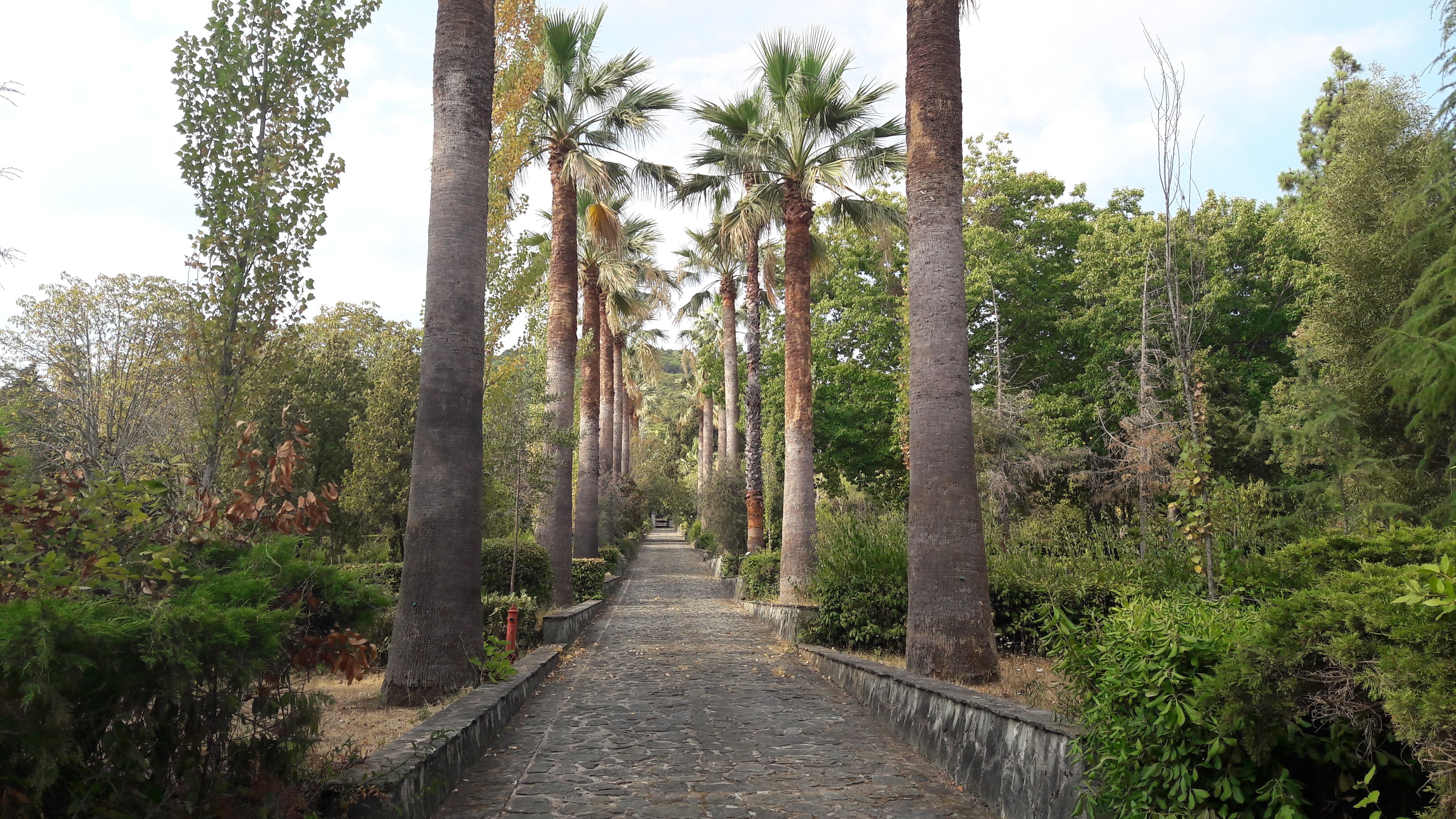 Il giardino botanico di Lamezia Terme