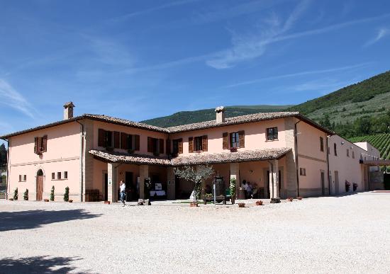 Cantina Sportoletti