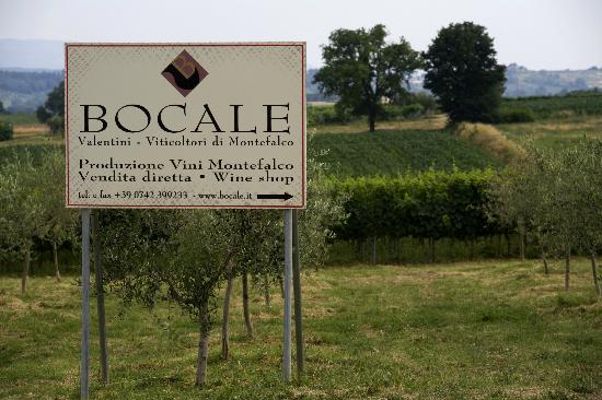 Bocale Vini