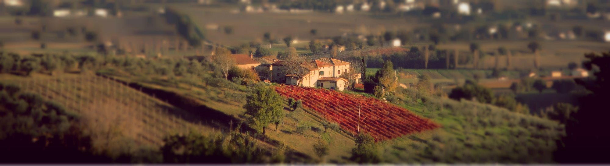 Azienda Agraria Brunozzi