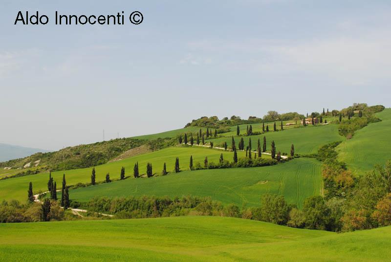 Riserva Naturale Lucciola Bella