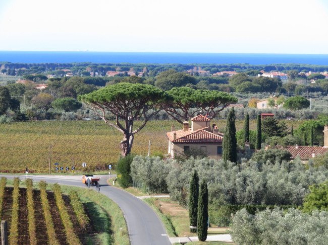 Azienda Agricola Michele Satta