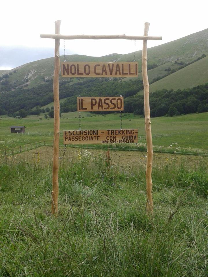 Nolo Cavalli Il Passo