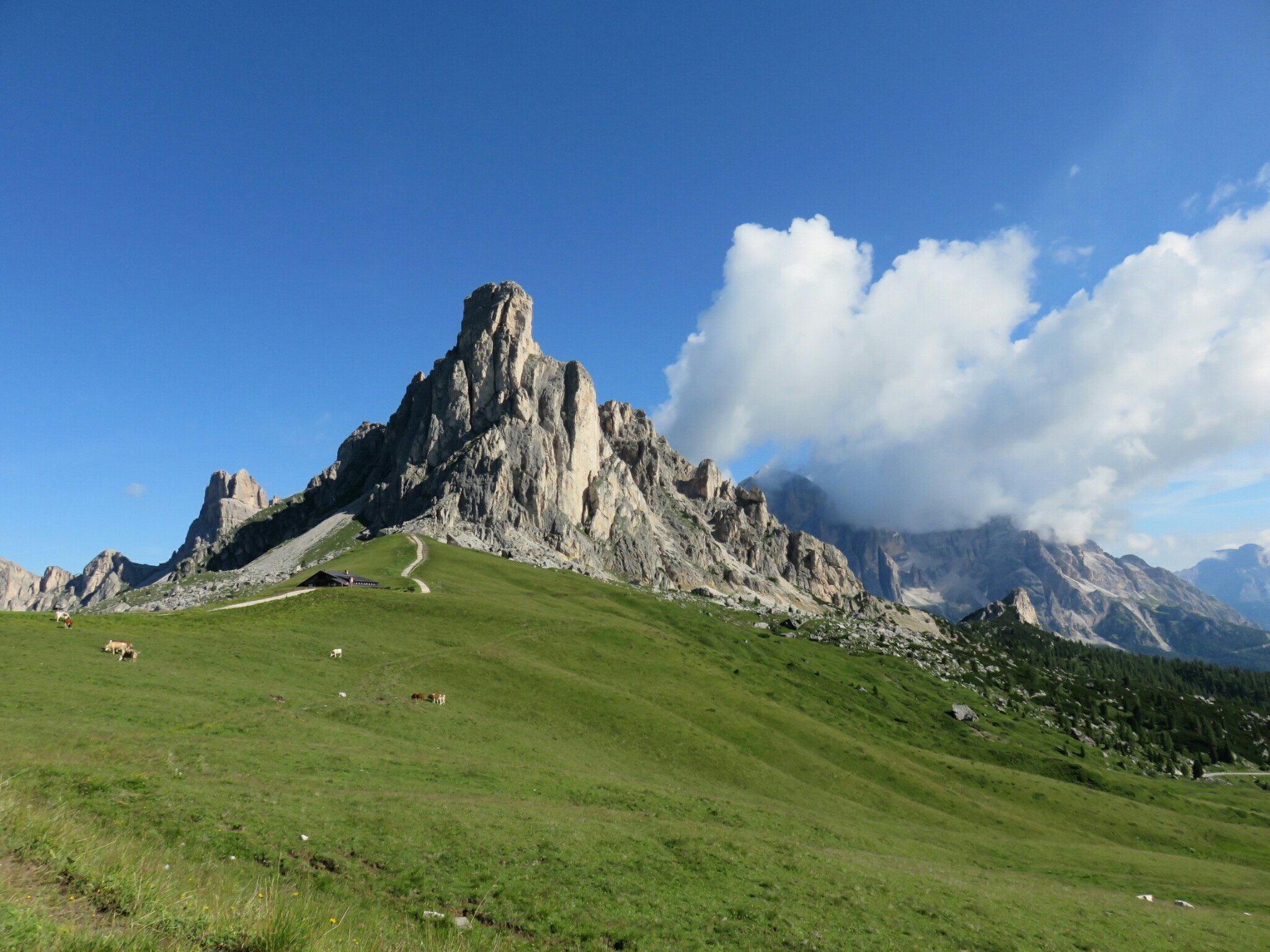 Guide Alpine Cortina Day Hikes