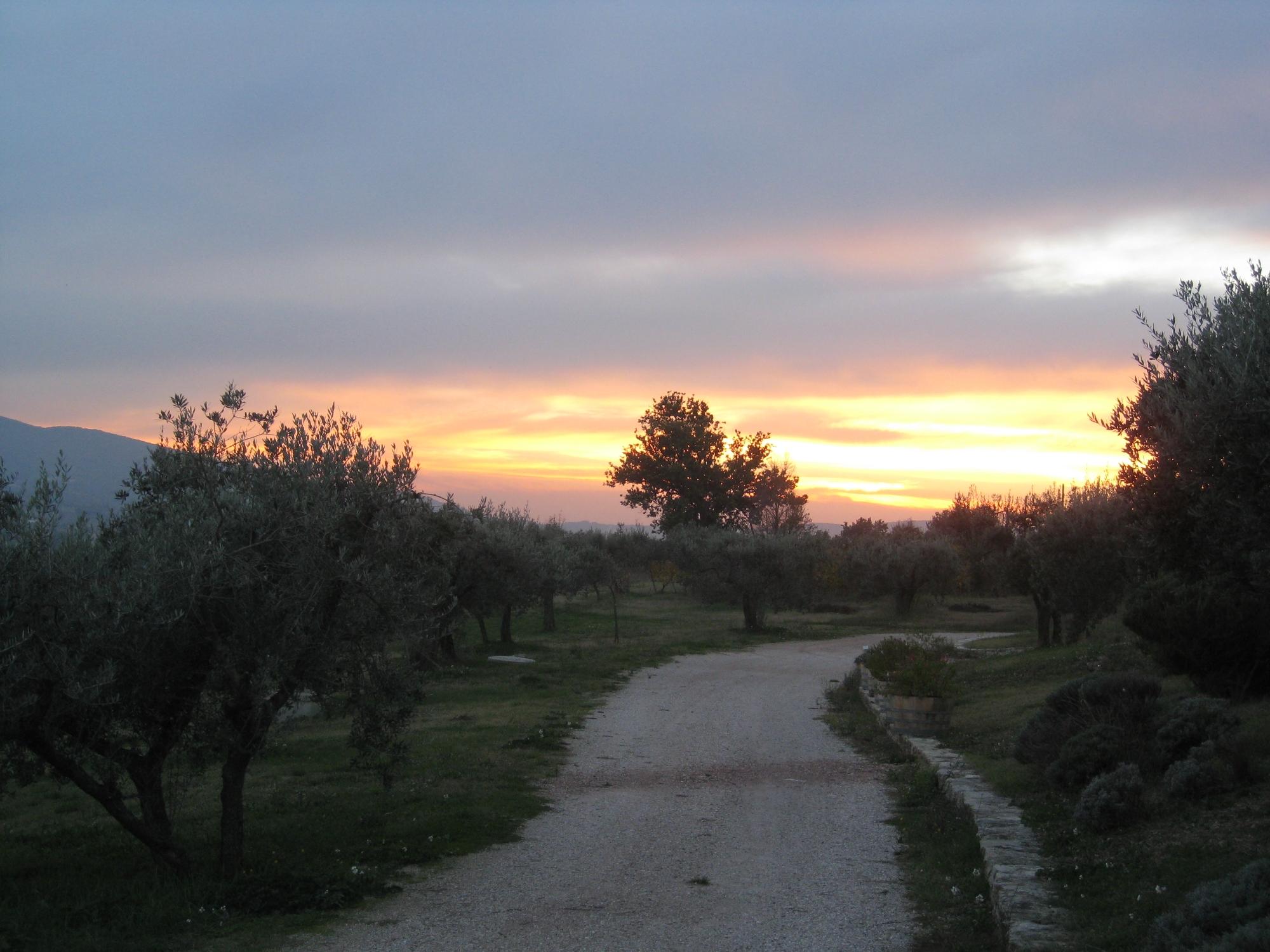 Azienda Agraria Perticaia