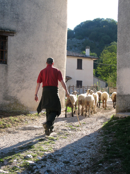 The Chiacchiarini Farm