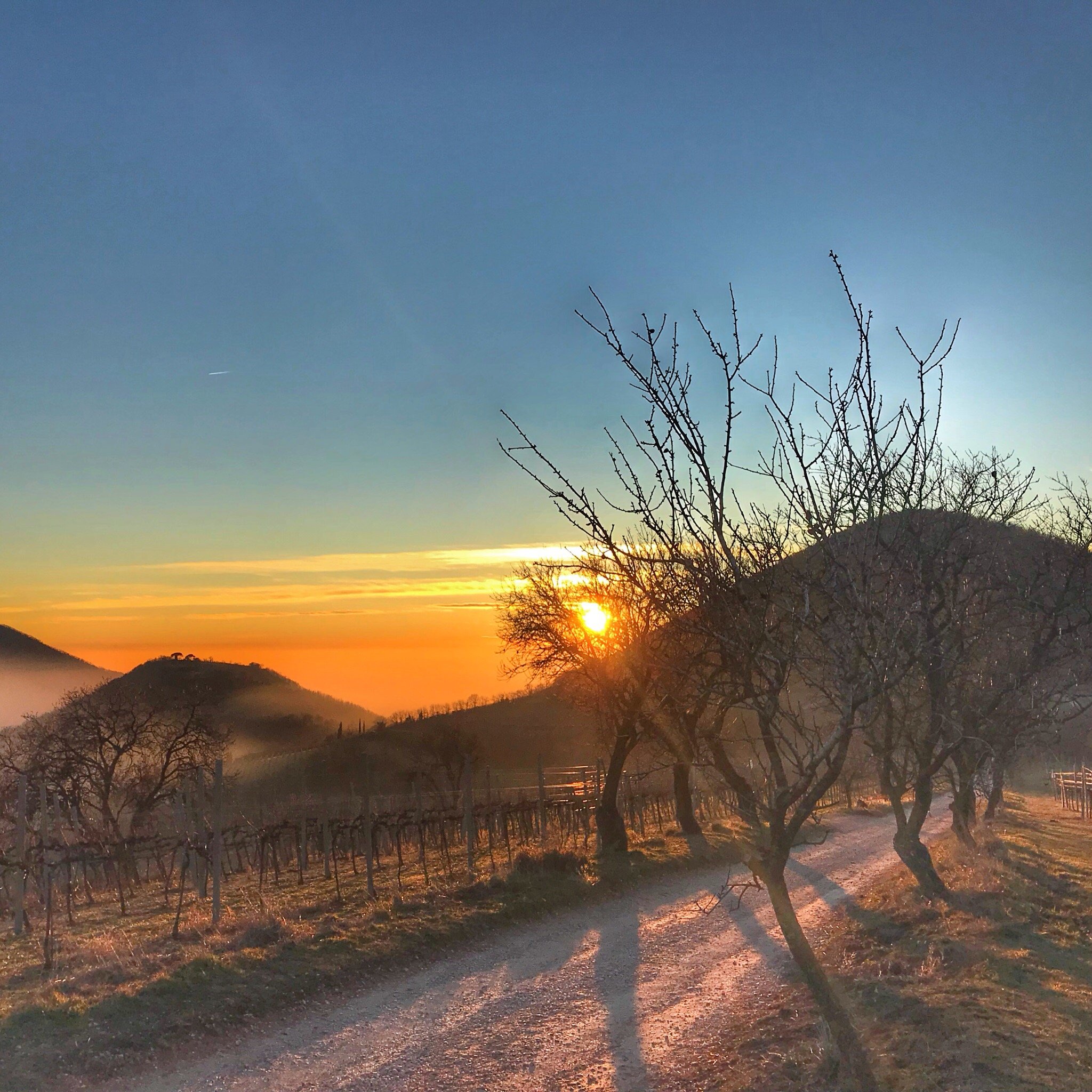 Parco Regionale dei Colli Euganei