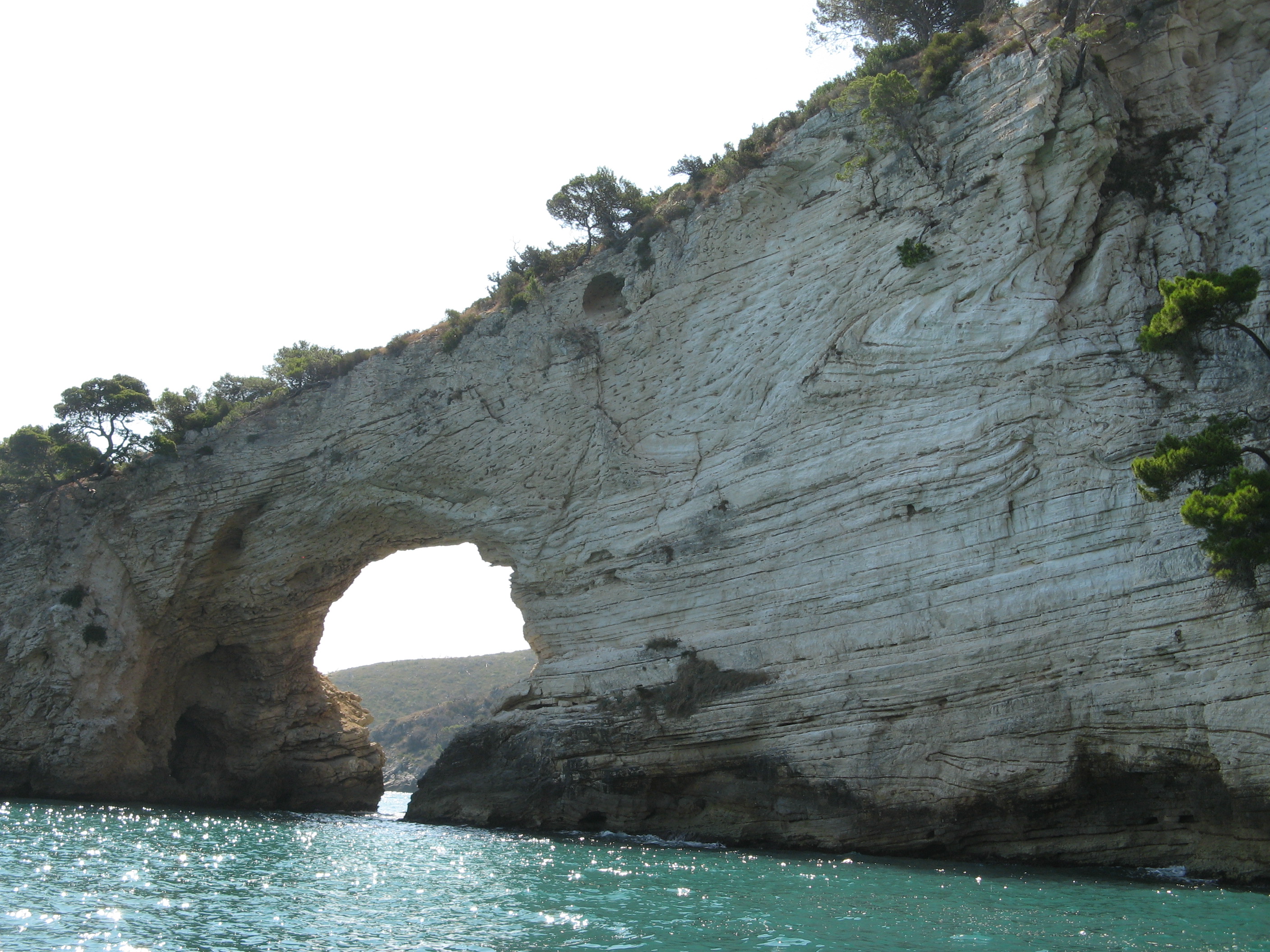 Costante Nicola Agenzia Tour Delle Grotte