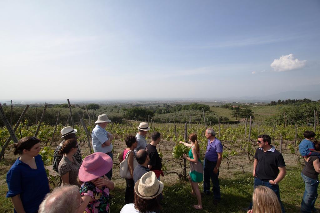 Minardi Frascati Winery