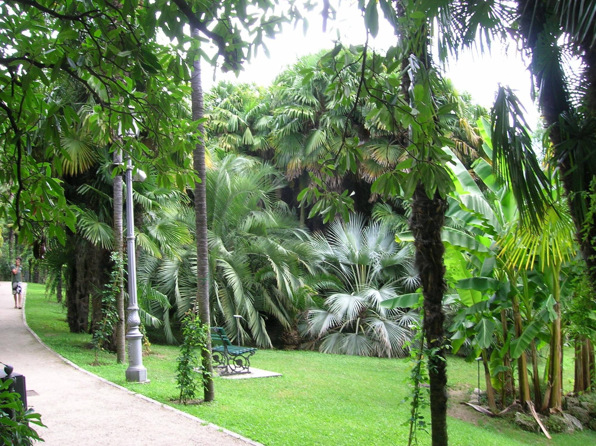 Arboretum of Arco