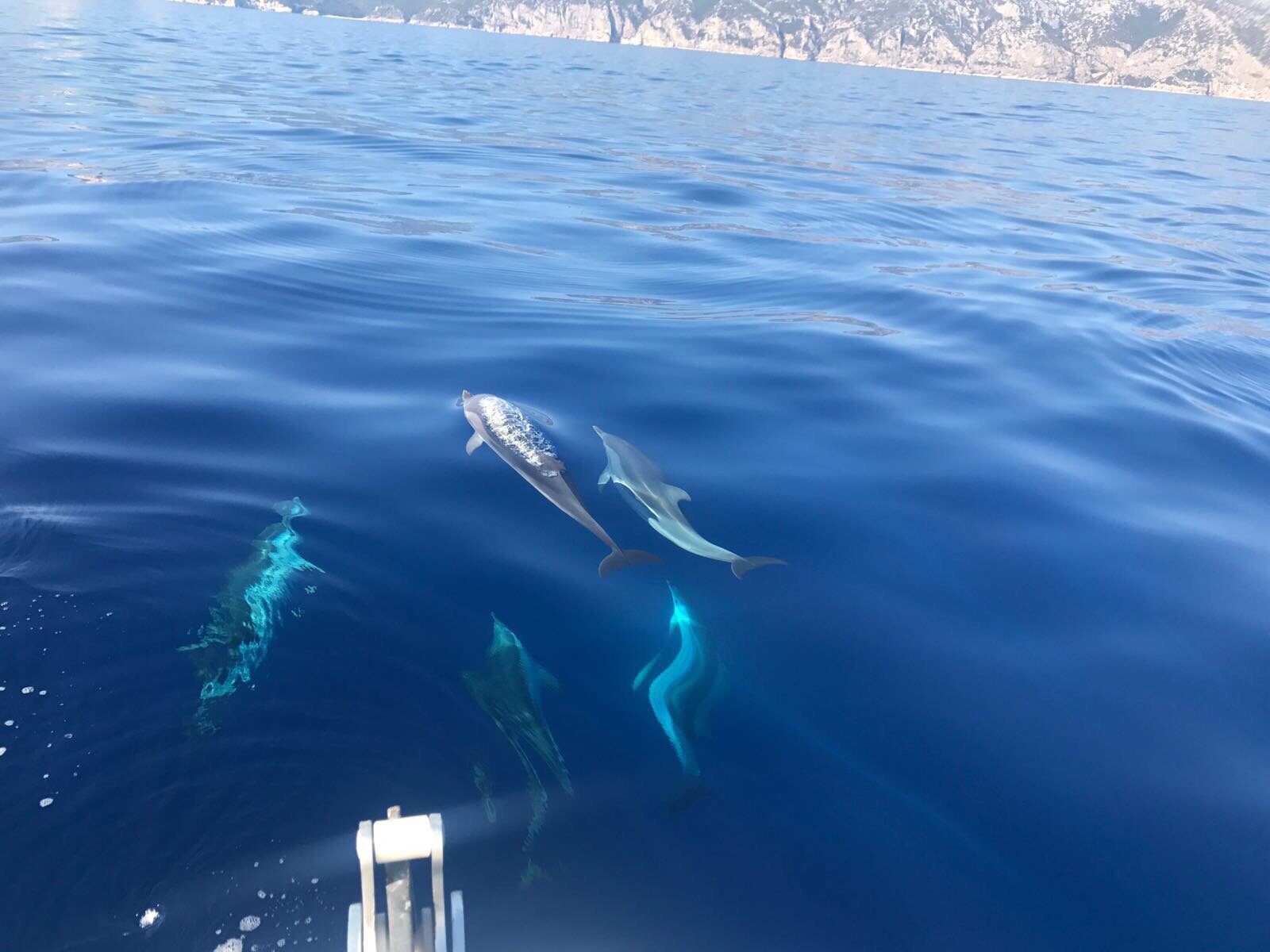 Blue Driving - Noleggio Gommoni ed escursioni nel Golfo di Orosei