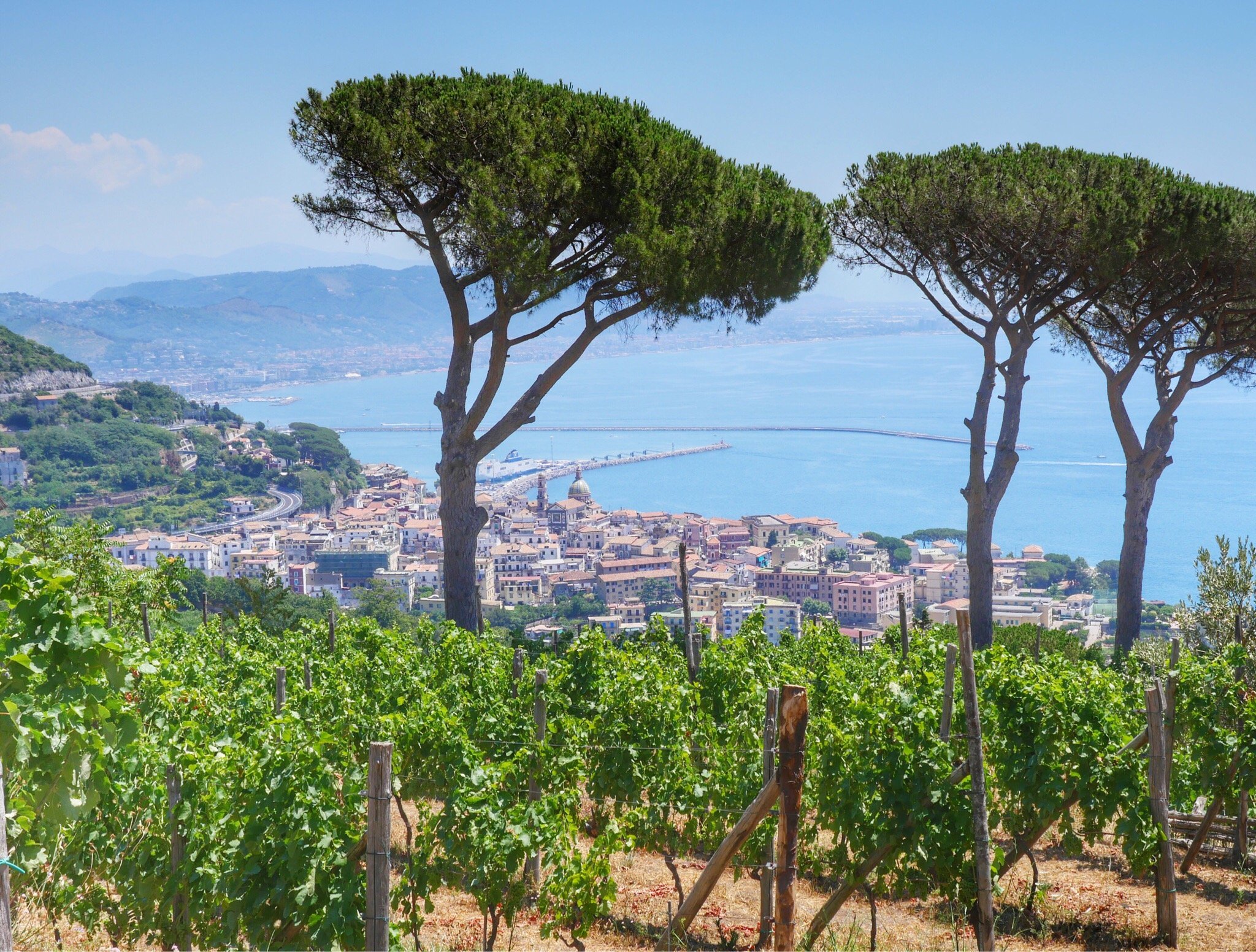 Le Vigne di Raito