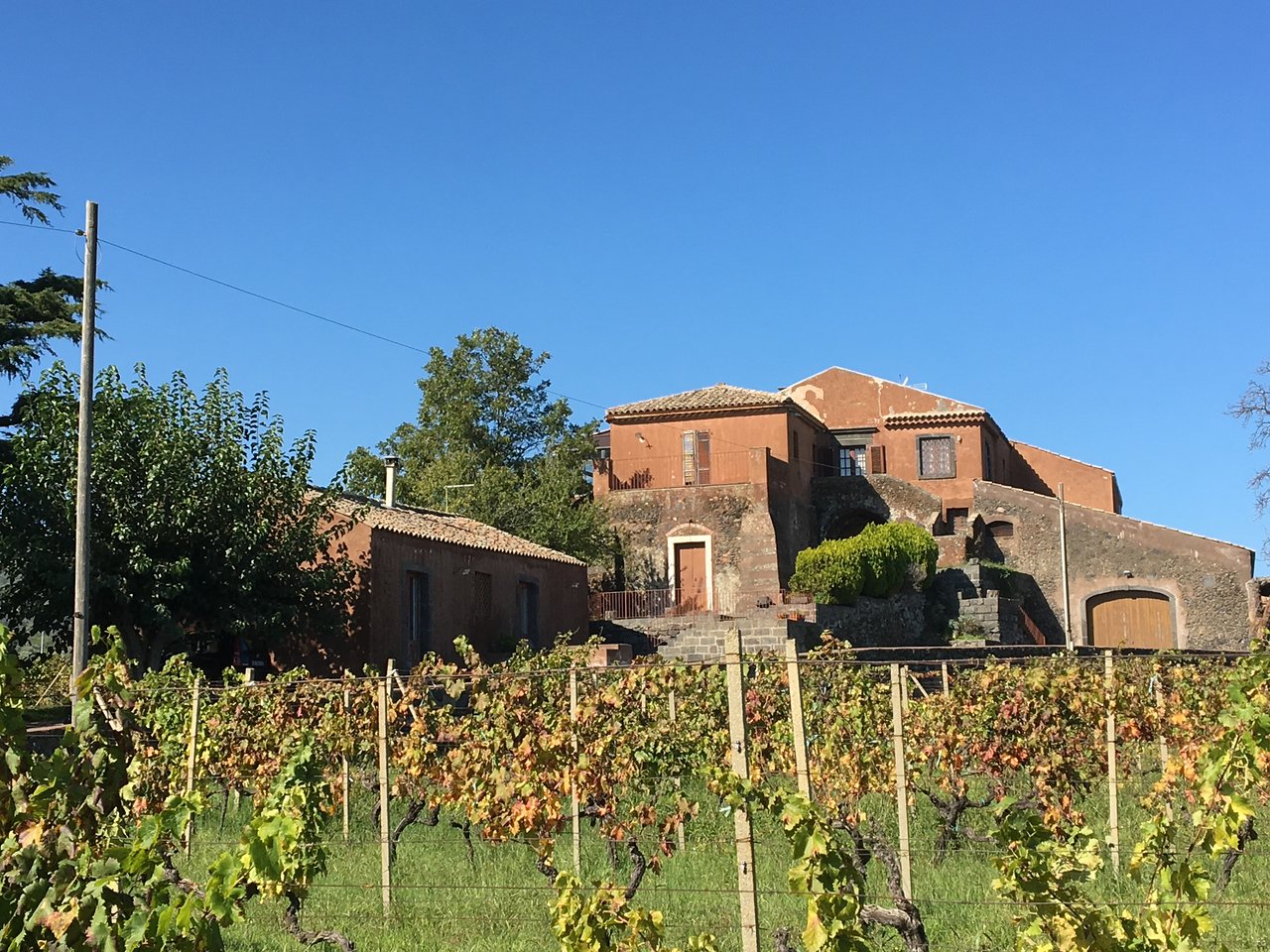 Scilio Tenuta di Valle Galfina