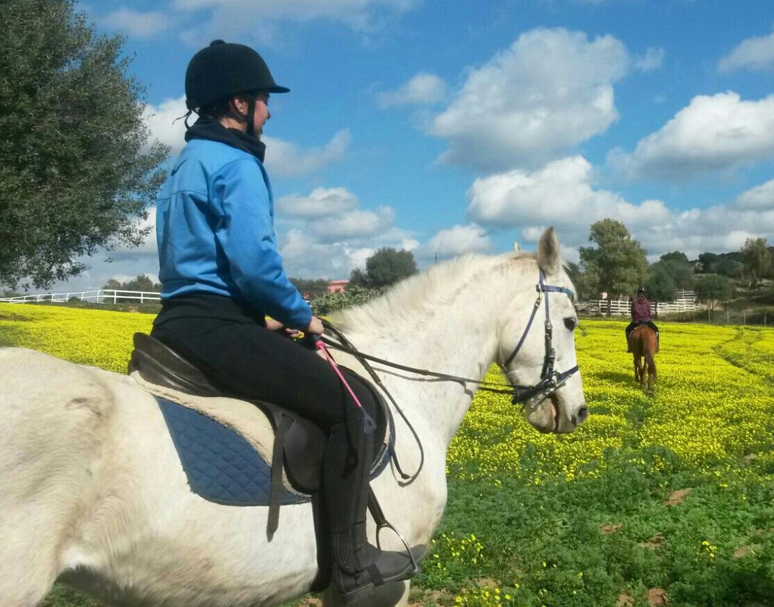 Officina Equestre