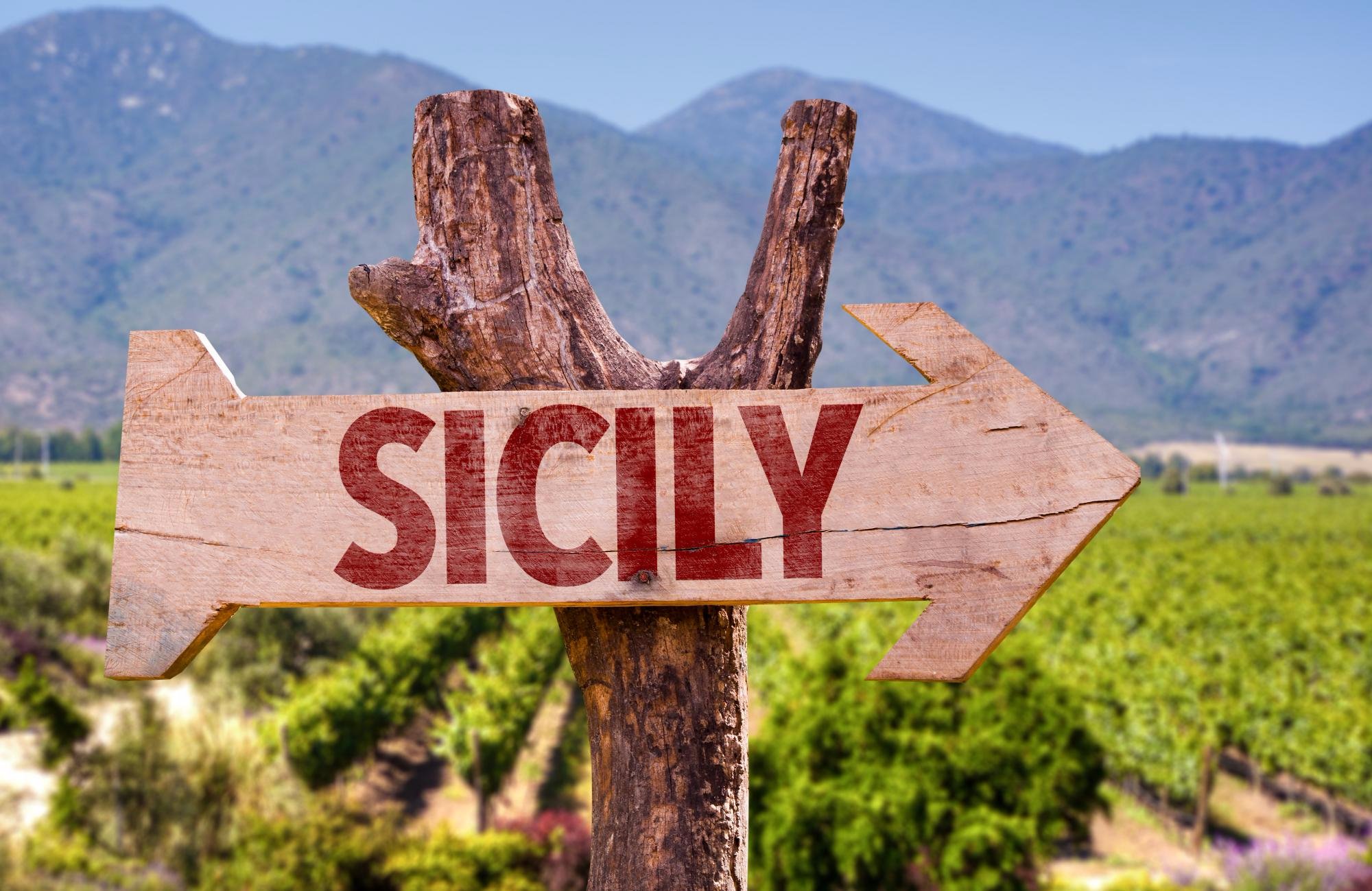 Winery Tasting Sicily