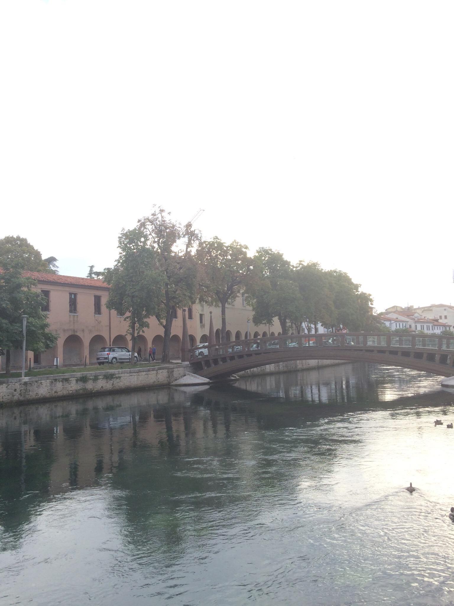 Ponte dell'Università