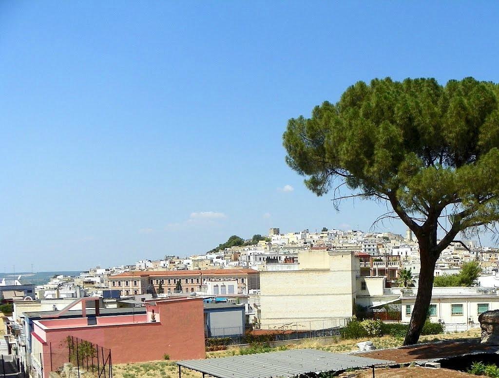 Tempio di Giove Toro