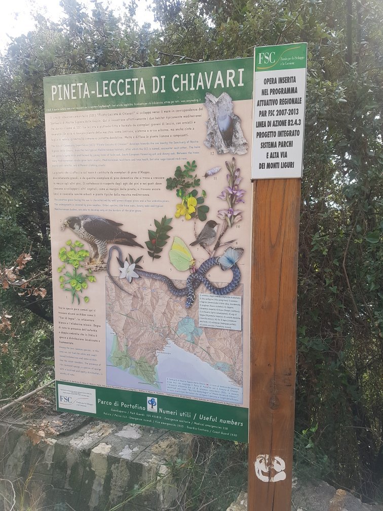 Pineta Lecceta di Chiavari