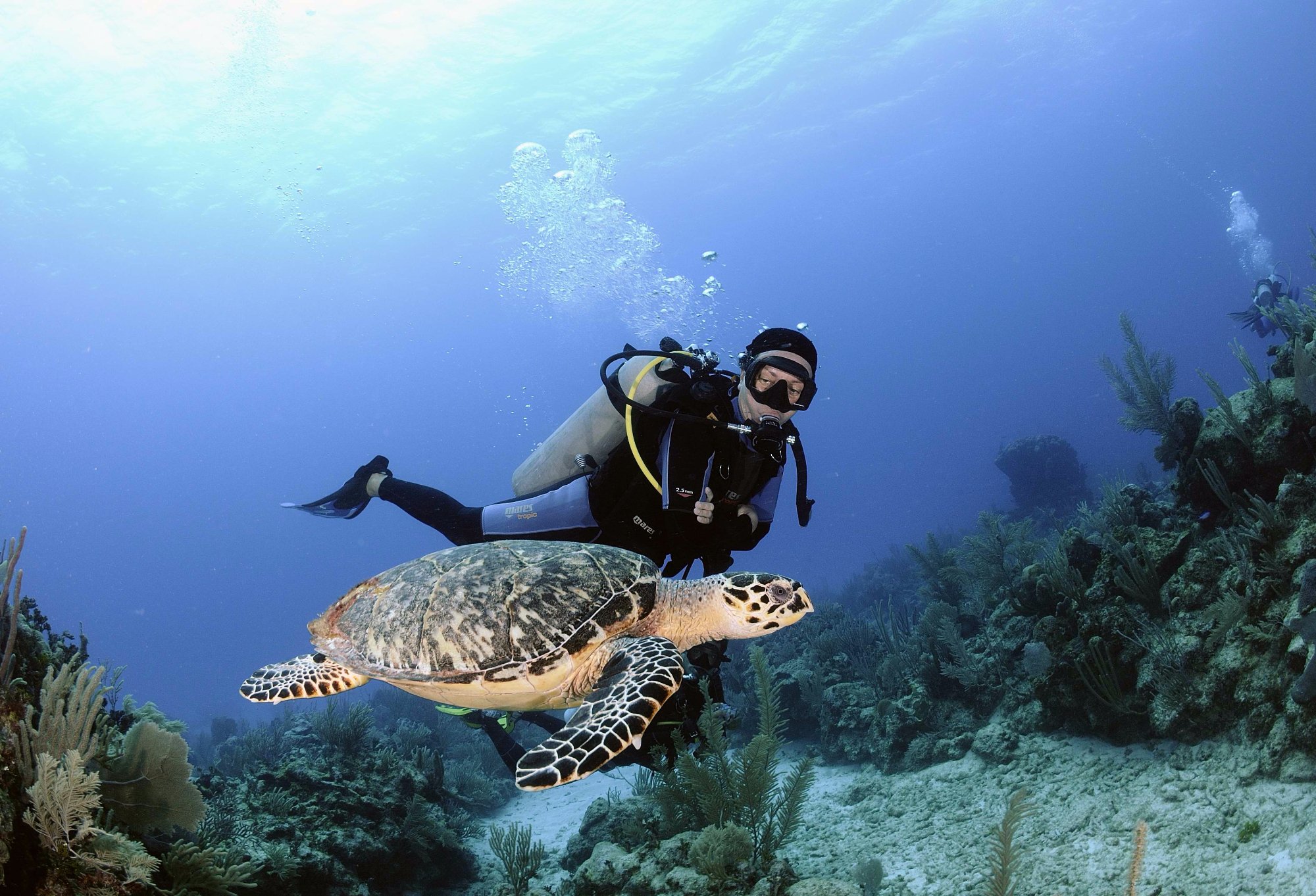 OceanoMare Diving Center