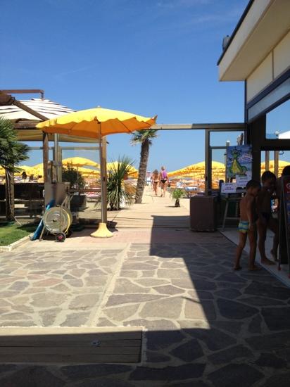 Bagno Pineta 120