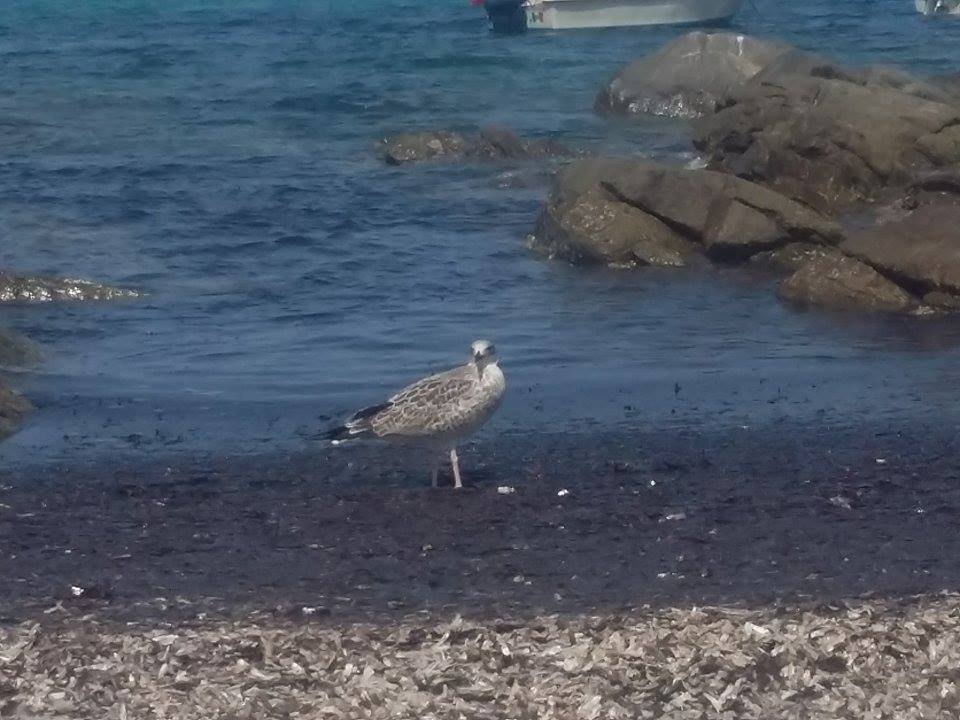 Spiaggia Cala D’Ambra